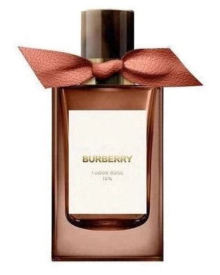 burberry free sample|Burberry decants samples.